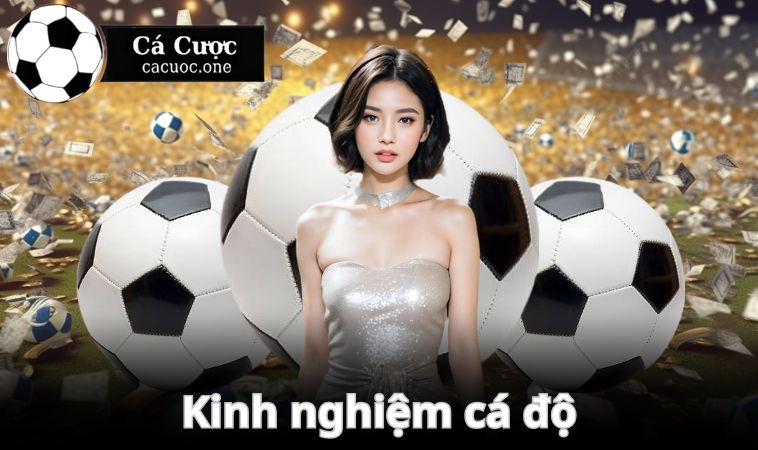 ca cuoc kinh nghiem ca do Kinh nghiệm cá độ