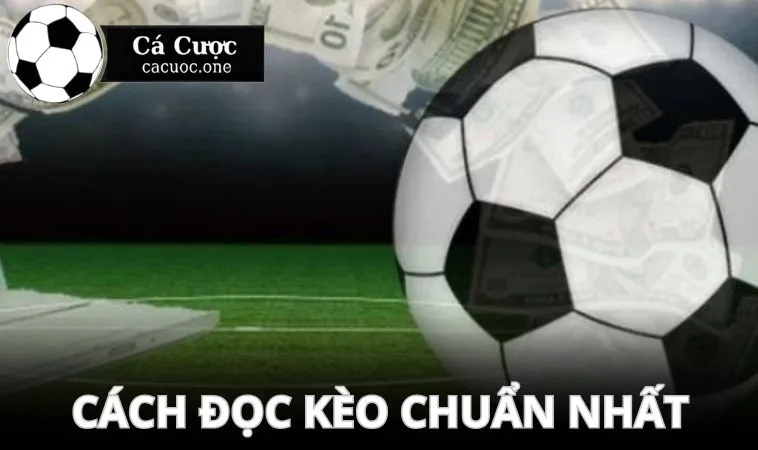 cach doc keo 0 0.5 chuan nhat Cách đọc kèo chuẩn nhất