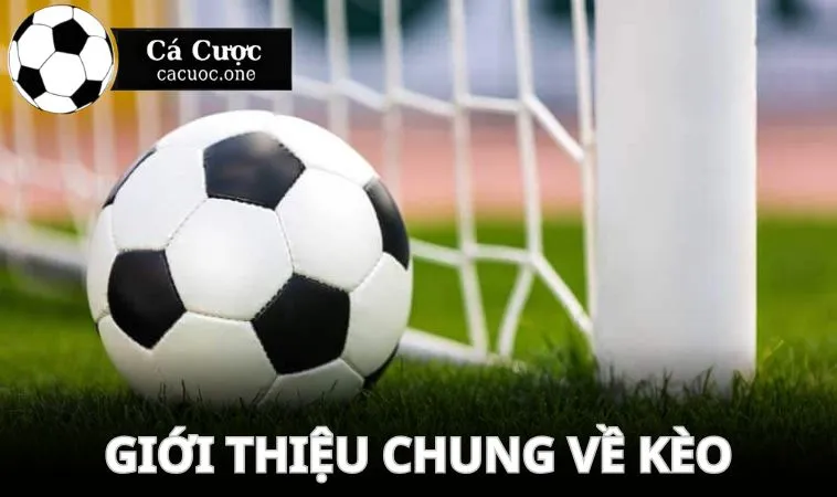gioi thieu chung ve keo 0 0.5 Giới thiệu chung về kèo