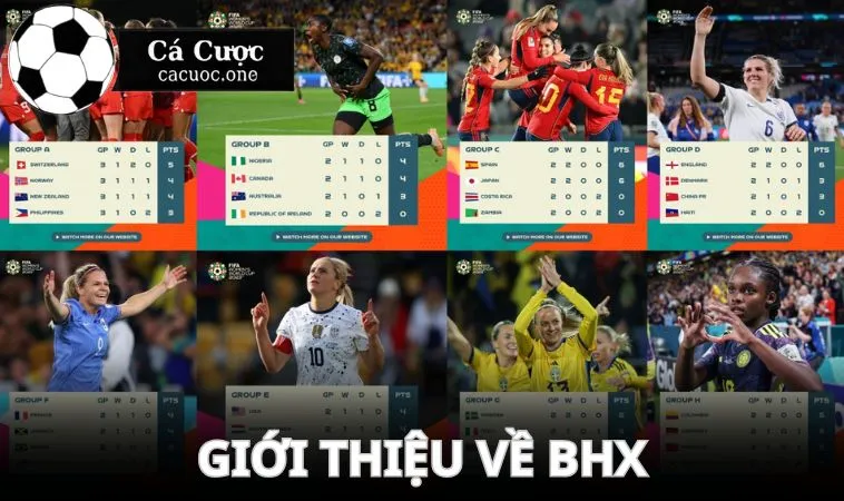 gioi thieu ve bang xep hang 1 Vài thông tin cơ bản về BXH