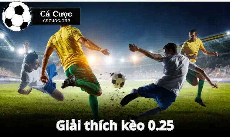 keo 0.25 gioi thieu Giải thích thông tin về kèo 0.25