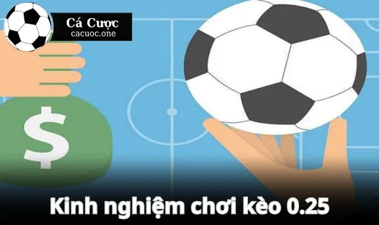 keo 0.25 kinh nghiem de choi Kinh nghiệm giúp người chơi đặt cược kèo 0.25 chuẩn xác