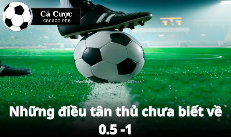 Khi nào nên chọn kèo 0.5 - 1?