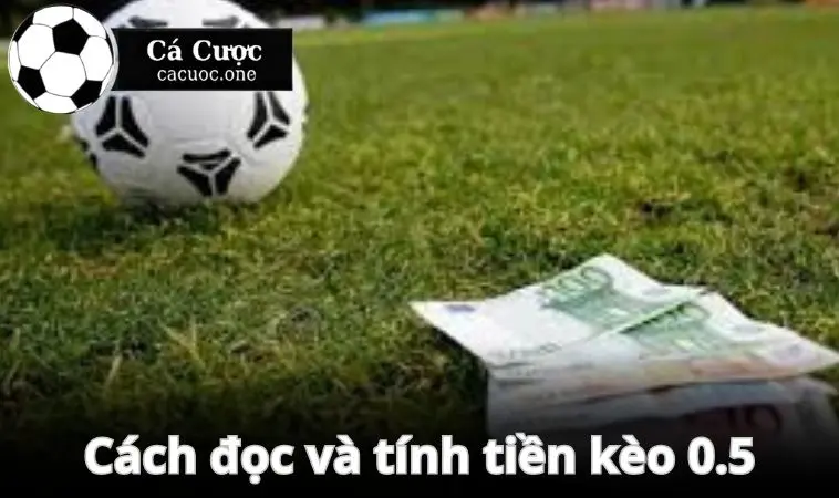 keo 0.5 cach doc tinh tien keo Cách để đọc và tính tiền kèo 0.5