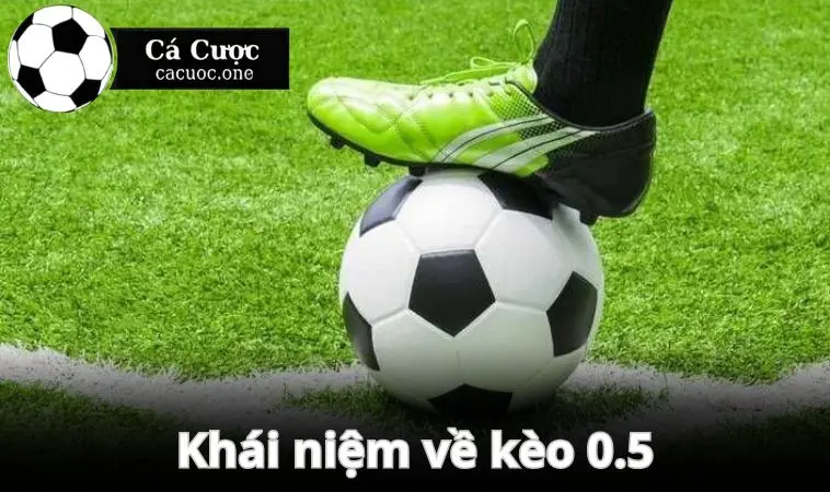 keo 0.5 gioi thieu keo Làm rõ khái niệm về kèo 0.5