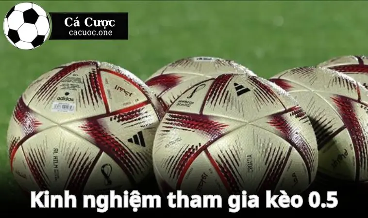 keo 0.5 kinh nghiem tham gia Kinh nghiệm để vào kèo 0.5 hiệu quả