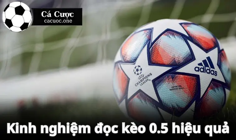 keo 0.5 la gi kinh nghiem tu cao thu Một số kinh nghiệm vào kèo 0.5 từ “chuyên gia”