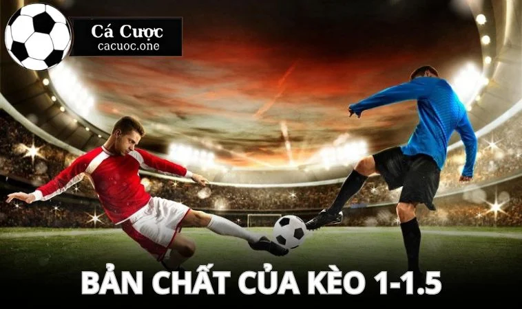 keo 1 1 5 ban chat Nội dung trên sẽ giải đáp cho bạn kèo 1-1.5 là sao