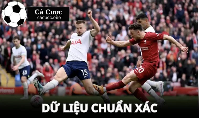 ket qua bong da du lieu chuan Dữ liệu tại trang đảm bảo chuẩn xác