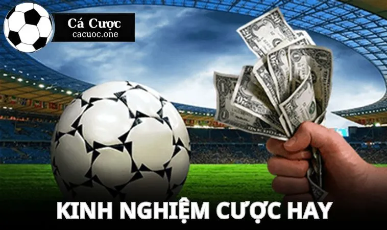 kinh nghiem cuoc keo 0 0.5 hay Kinh nghiệm cược hay