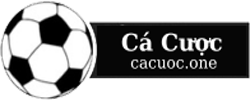 cacuoc.one