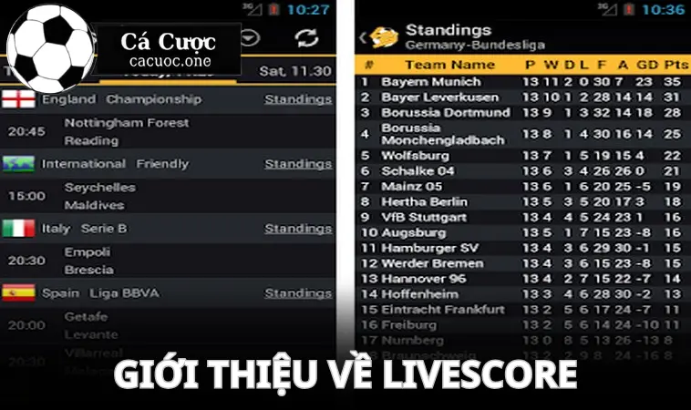 tim hieu livescore la gi Tìm hiểu chung về livescore là gì?