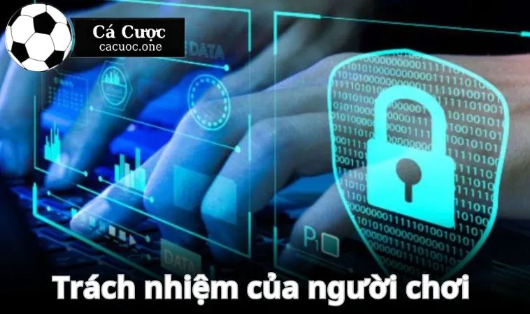 trach nhiem cua nguoi choi chinh sach bao mat Trách nhiệm của người chơi đối với quy định bảo mật